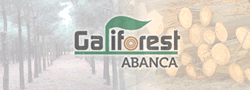 Galiforest Abanca